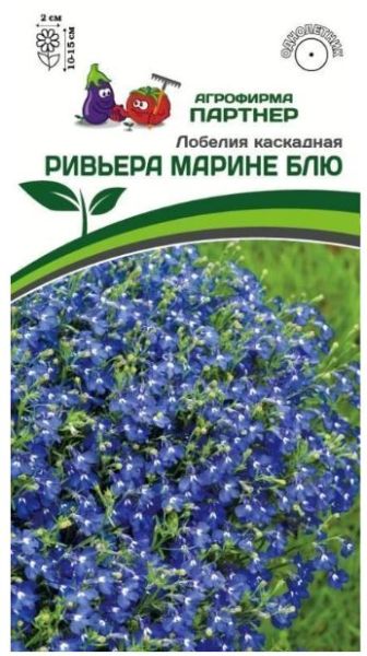 Однолетник Лобелия каскадная Ривьера Марине Блю Партнер