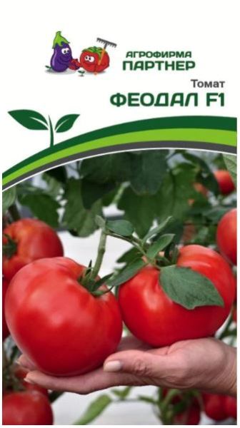 Томат ФЕОДАЛ F1 Партнер