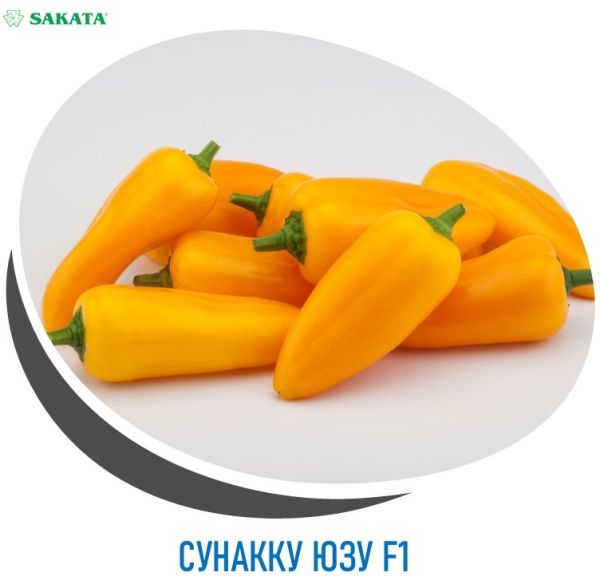 Перец сладкий СУНАККУ ЮЗУ F1 / SUNAKKU YUZU F1 Sakata
