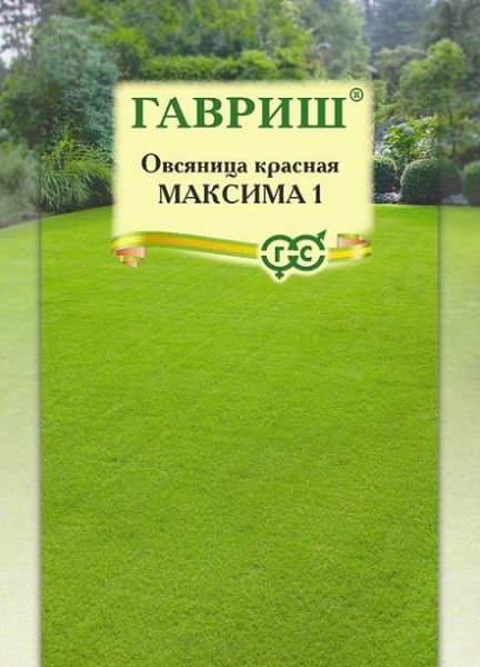 Газонная трава овсяница красная МАКСИМА / MAKSIMA  Гавриш
