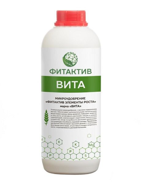 ФИТАКТИВ ВИТА / FITAKTIV VITA Бинам