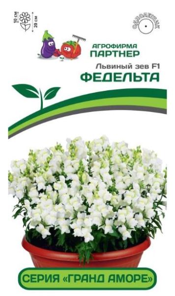 Однолетник Львиный зев низкорослый крупноцветковый Гранд Аморе Федельта F1 Партнер