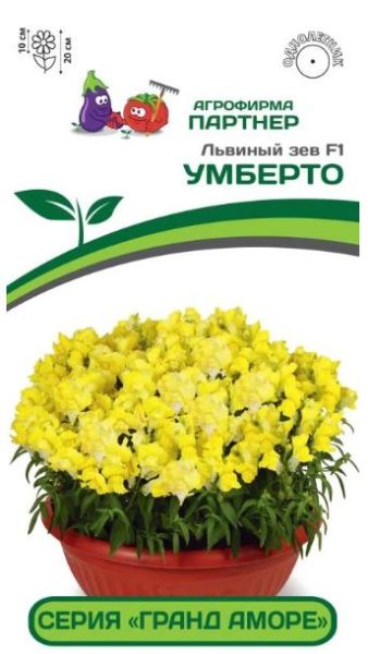 Однолетник Львиный зев низкорослый крупноцветковый Гранд Аморе Умберто F1 Партнер
