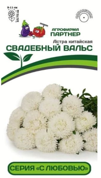 Однолетник Астра китайская Свадебный вальс Партнер