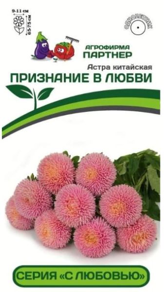 Однолетник Астра китайская Признание в любви Партнер