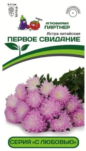 Однолетник Астра китайская Первое свидание Партнер