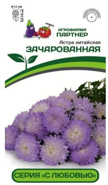 Однолетник Астра китайская Зачарованная Партнер
