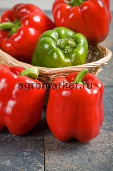 Перец сладкий РЭД НАЙТ ЭКС F1 / RED NIGHT EKS F1 Seminis
