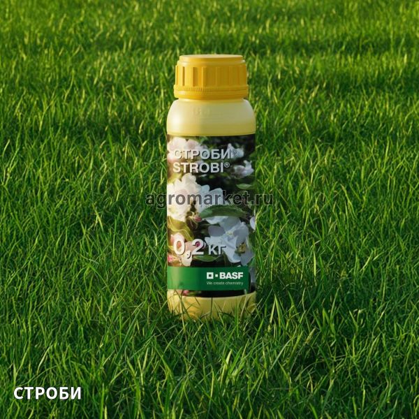 Фунгицид СТРОБИ / STROBI Basf