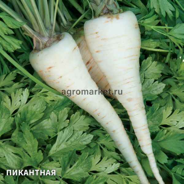 Петрушка ПИКАНТНАЯ Профи Поиск