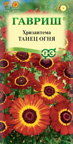 Однолетник Хризантема Танец огня Гавриш