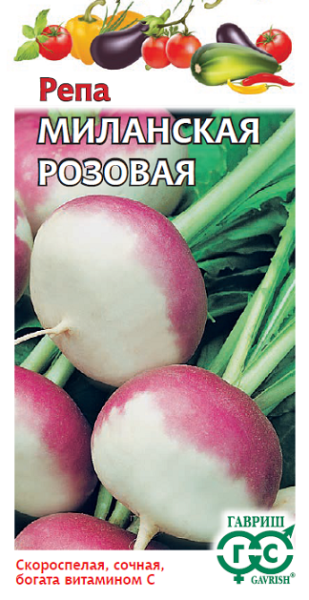 Репа МИЛАНСКАЯ РОЗОВАЯ Гавриш