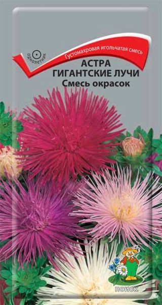 Однолетник Астра Гигантские лучи Смесь окрасок ЦВ Поиск