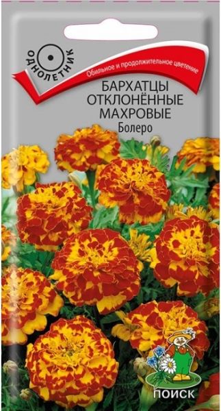 Однолетник Бархатцы откл. махр. Болеро ЦВ Поиск