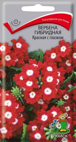 Однолетник Вербена гибридная Красная с глазком ЦВ Поиск