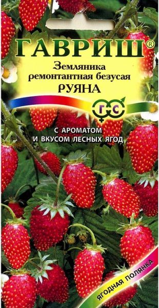 Земляника РУЯНА Гавриш