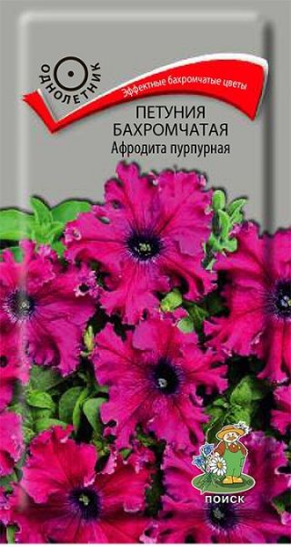 Однолетник Петуния бахромчатая Афродита пурпурная ЦВ Поиск