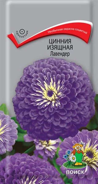 Однолетник Цинния изящная Лавендер ЦВ Поиск