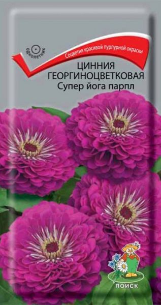 Однолетник Цинния георгиноцветковая Супер Йога Парпл ЦВ Поиск