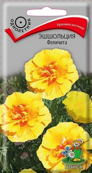 Однолетник Эшшольция Феличита ЦВ Поиск