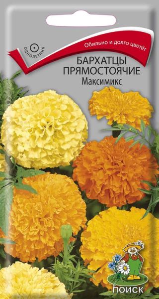 Однолетник Бархатцы прямостоячие Максимикс ЦВ Поиск