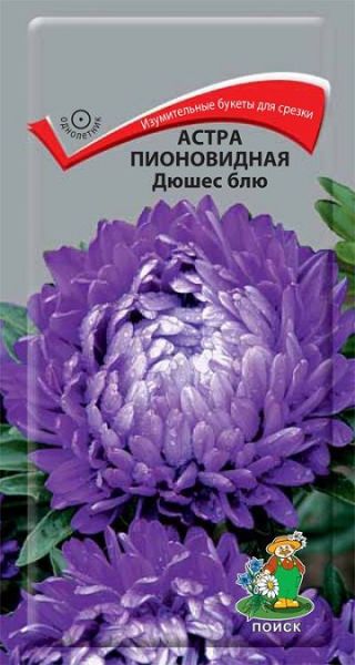 Однолетник Астра пионовидная Дюшес блю ЦВ Поиск