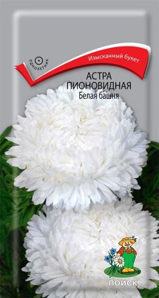 Однолетник Астра пионовидная Белая башня ЦВ Поиск