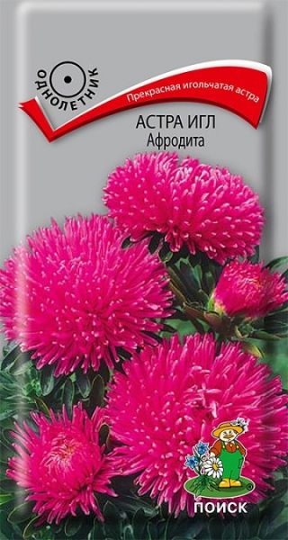 Однолетник Астра Игл Афродита ЦВ Поиск