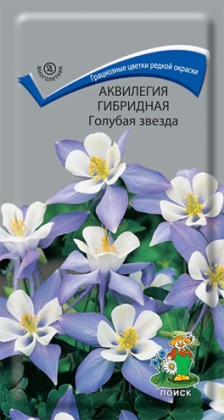 Многолетник Аквилегия гибридная Голубая звезда ЦВ Поиск