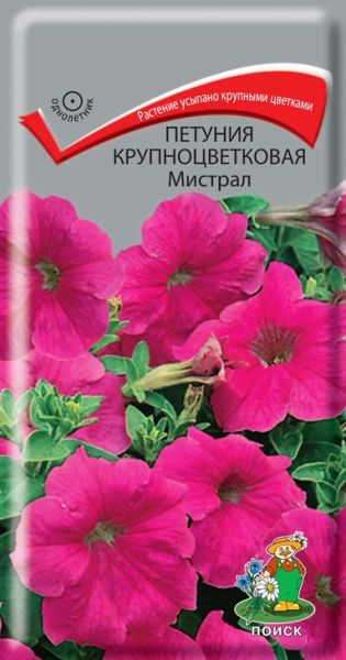 Однолетник Петуния крупноцвет. грандифлора Мистрал F1 ЦВ Поиск