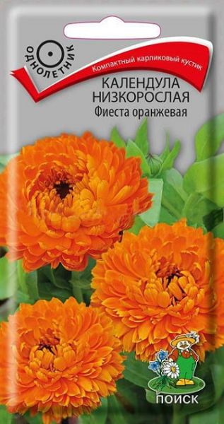 Однолетник Календула низкорослая Фиеста оранжевая ЦВ Поиск