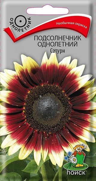 Однолетник Подсолнечник Сатурн ЦВ Поиск