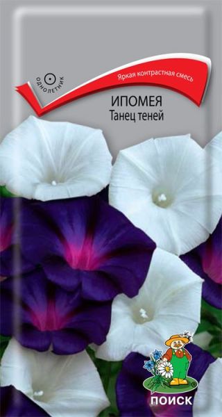 Однолетник Ипомея Танец теней ЦВ Поиск