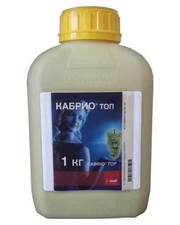 Фунгицид КАБРИО ТОП / KABRIO TOP Basf