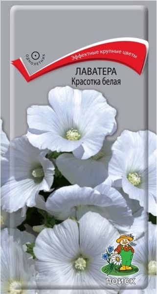 Однолетник Лаватера Красотка Белая ЦВ Поиск