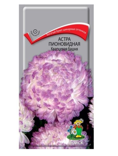 Однолетник Астра пионовидная Розовый кварц  Поиск