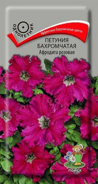Однолетник Петуния бахромчатая Афродита розовая ЦВ Поиск