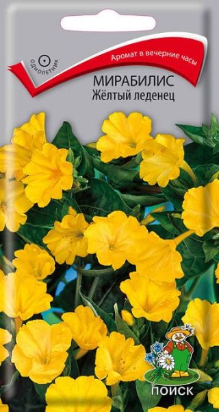Однолетник Мирабилис Желтый леденец  ЦВ Поиск