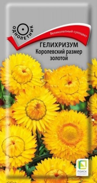 Однолетник Гелихризум Королевский размер золотой  ЦВ Поиск