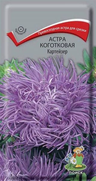 Однолетник Астра коготковая Картейзер ЦВ Поиск