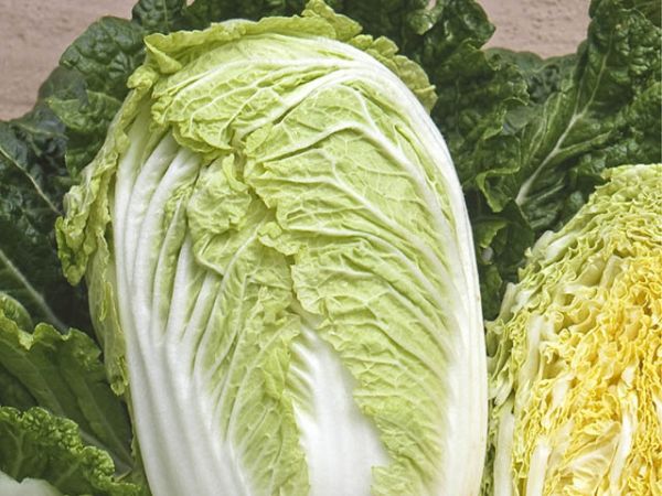 Капуста пекинская КЬЮСТАР F1 / KYUSTAR F1 Takii Seeds