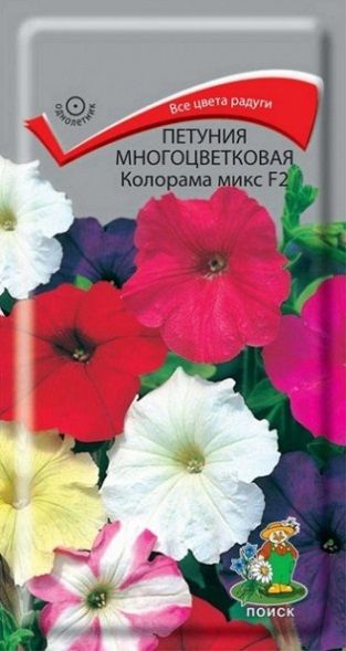 Однолетник Петуния многоцветковая Колорами микс F2 ЦВ Поиск