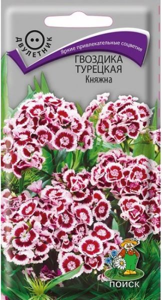 Двулетник Гвоздика (бородатая) Турецкая Княжна ЦВ Поиск