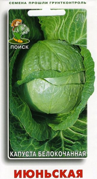 Капуста белокочанная ИЮНЬСКАЯ ЦВ Поиск