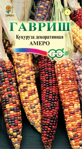 Кукуруза декоративная АМЕРО Гавриш