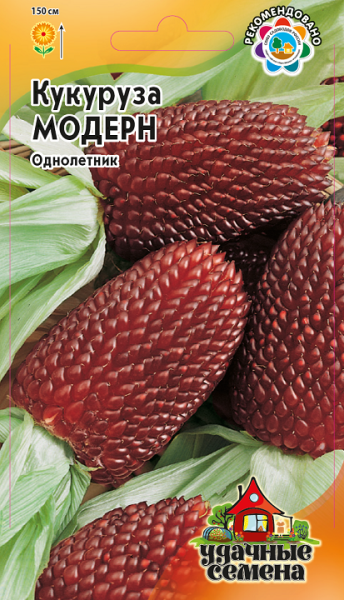 Кукуруза декоративная МОДЕРН Уд.с. Гавриш