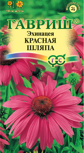 Многолетник Эхинацея Красная шляпа Гавриш