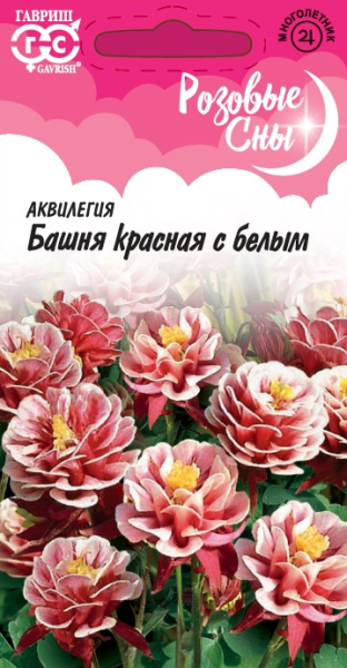 Многолетник Аквилегия Башня красная с белым Розовые сны Гавриш