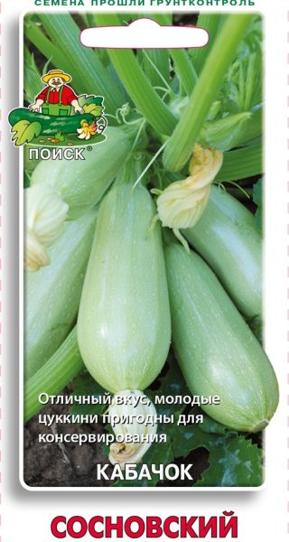 Кабачок СОСНОВСКИЙ ЦВ Поиск