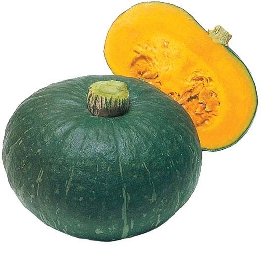 Тыква СВИТ МАМА F1 / SVIT MAMA F1 Takii Seeds